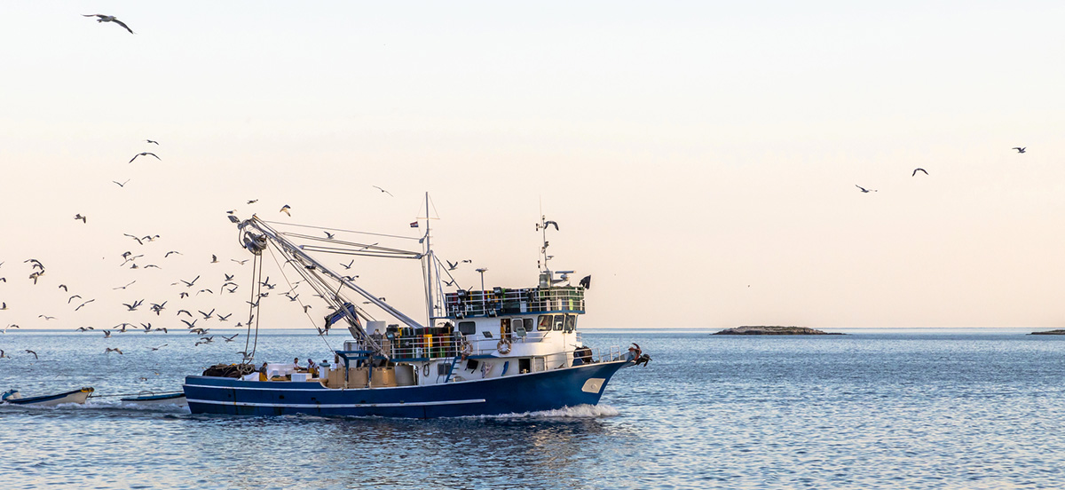 peschereccio-al-largo