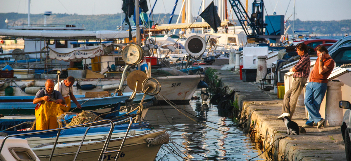peschereccio-al-porto
